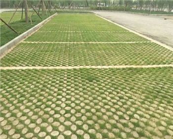 成都植草金年会官网