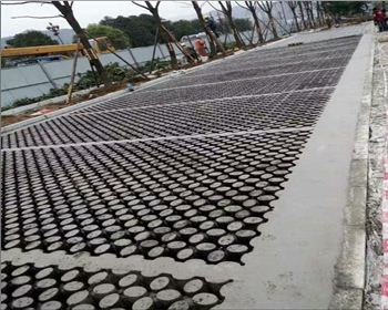 四川植草金年会官网