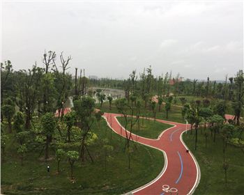 遂宁透水金年会官网