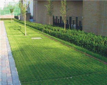 成都植草金年会官网