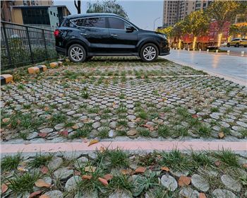 四川高承载植草金年会官网