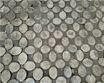 四川现浇植草金年会官网