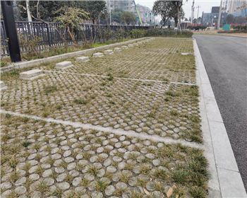 四川生态植草金年会官网